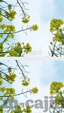 乐鱼体育西甲-乐鱼体育与西甲，一场充满激情与速度的足球盛宴